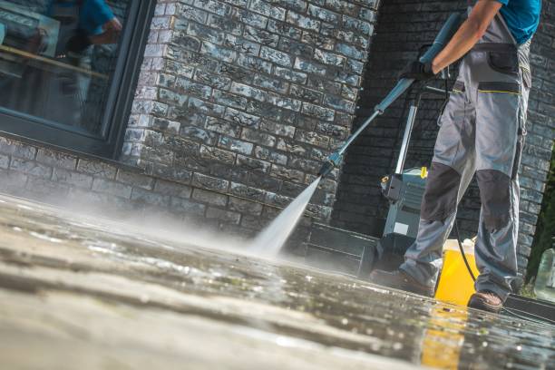 Best Animal Enclosure Cleaning  in Leonardtown, MD